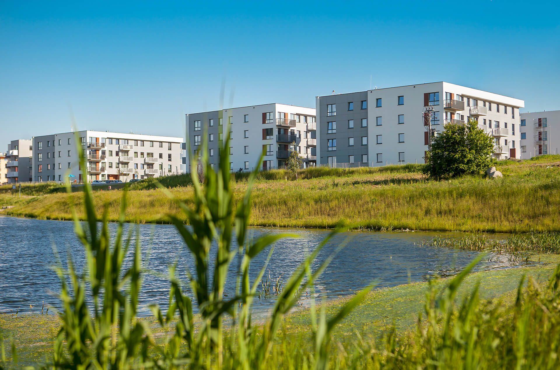 W tle wybudowane osiedle Debiut Etap I - III